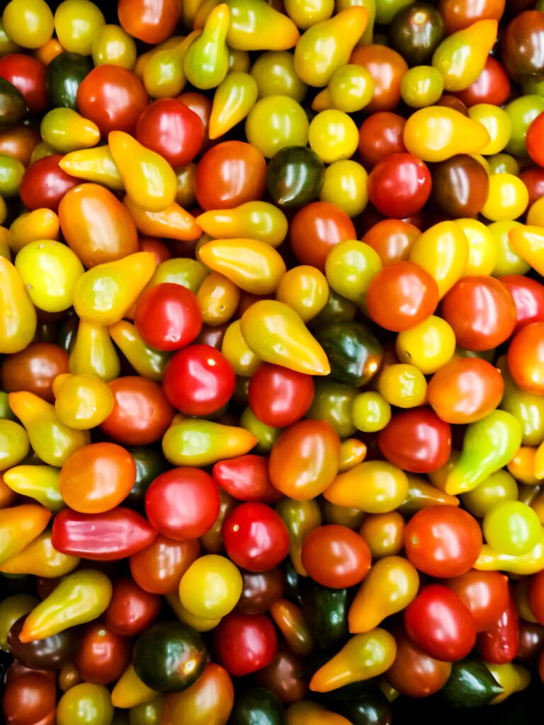 Harvest Tomatoes