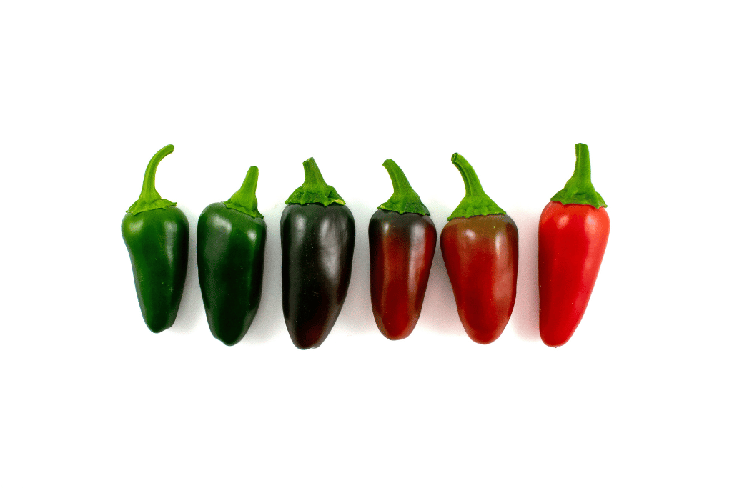 Degrees of Jalapeno Ripeness