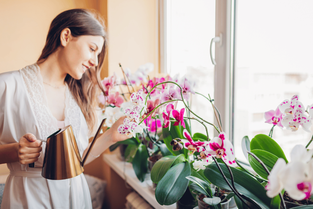 how to grow and care for orchids