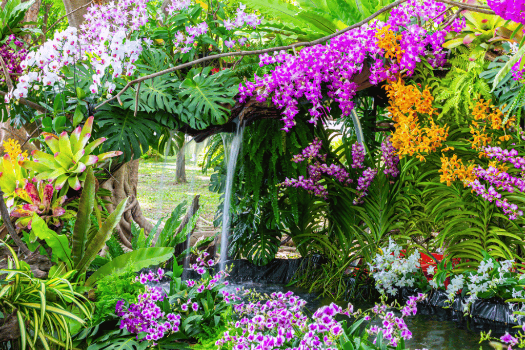 Orchid Garden