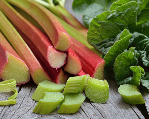 plants that look like rhubarb