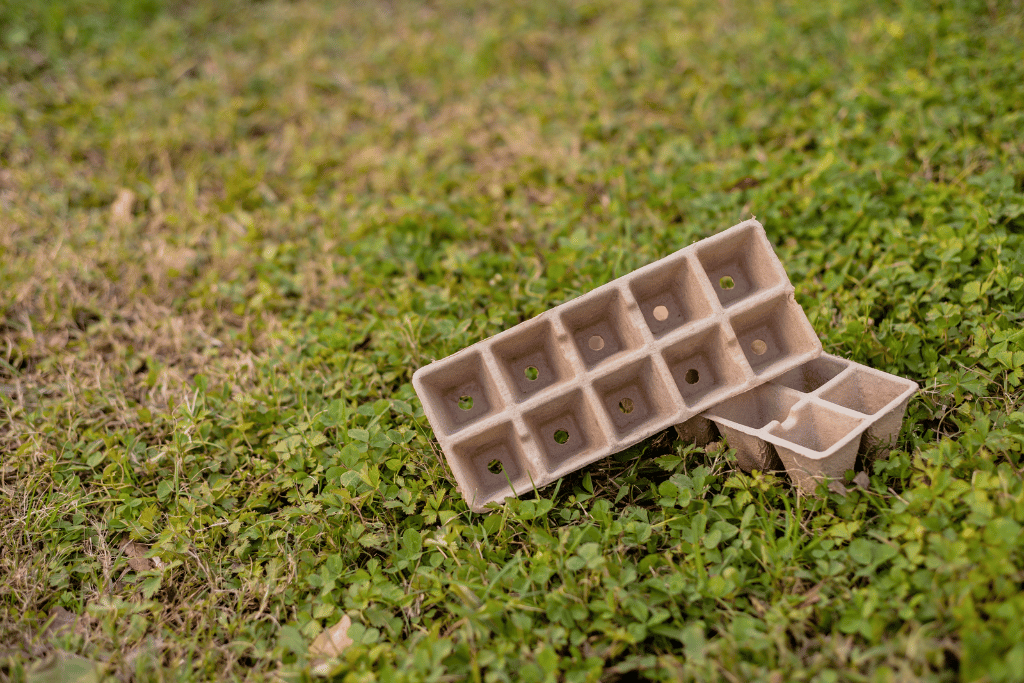 Seed Trays