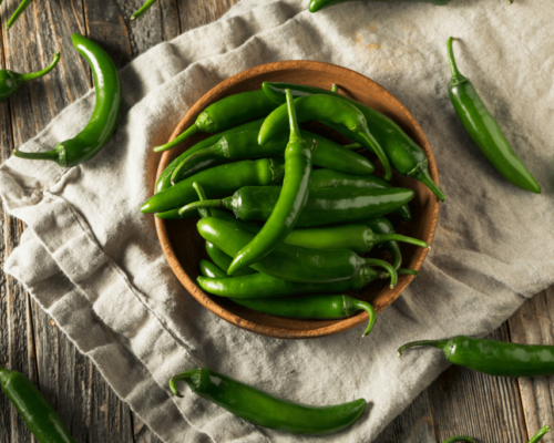 when to pick serrano peppers