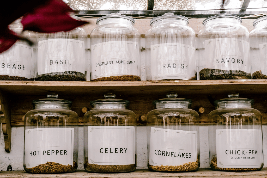 Storing Black Eyed Susan Seeds