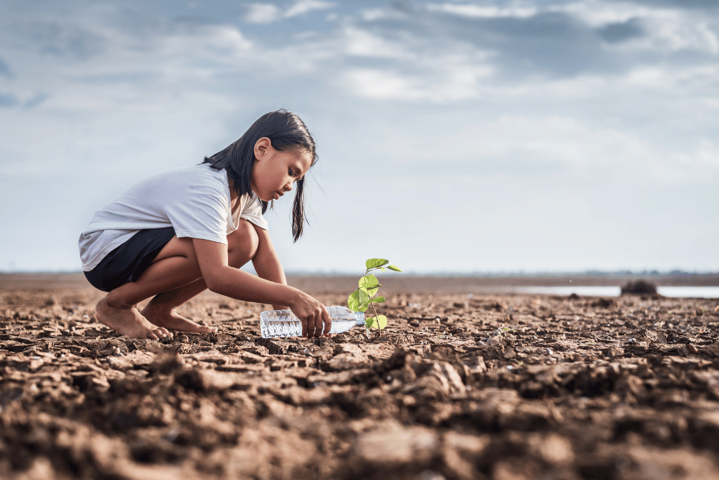 Time to Water Desert Plants