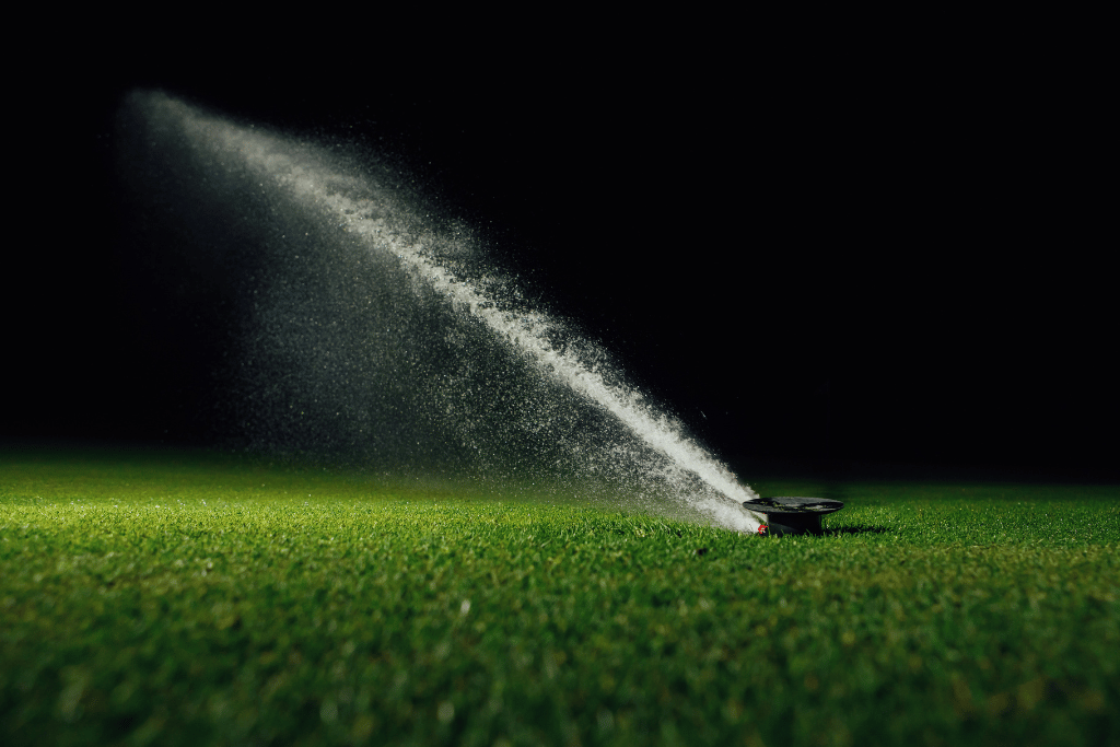 watering grass at night myth