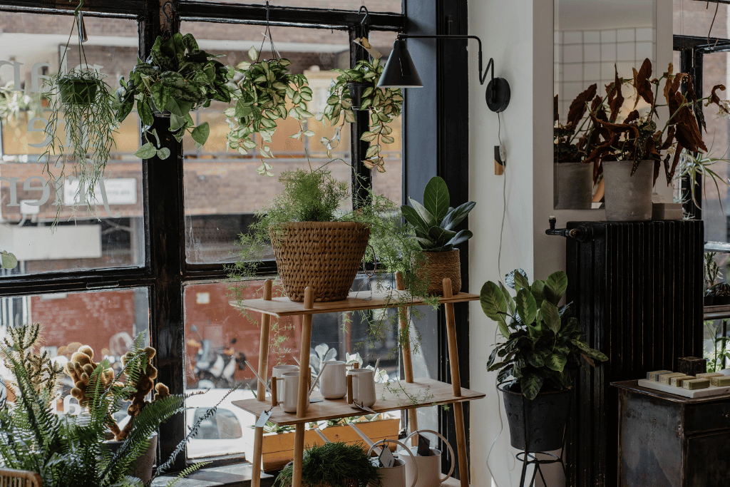 Window Hanging Plant Shelf 