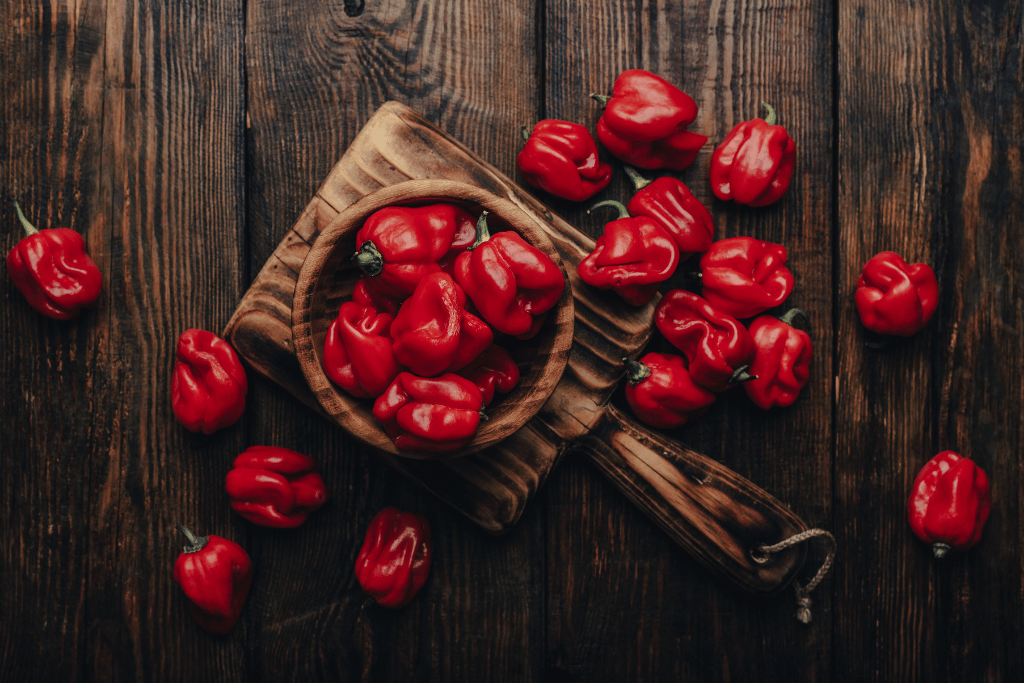 How To Pick Habanero Peppers