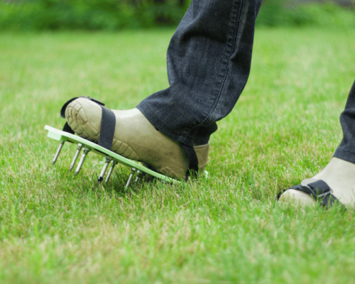 best lawn aerator shoes