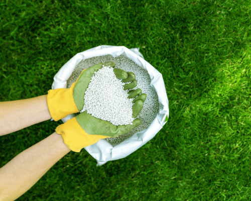 best lawn fertilizer for spring