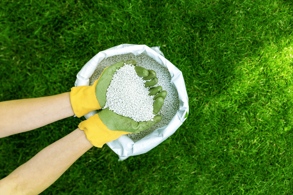 best lawn fertilizer for spring