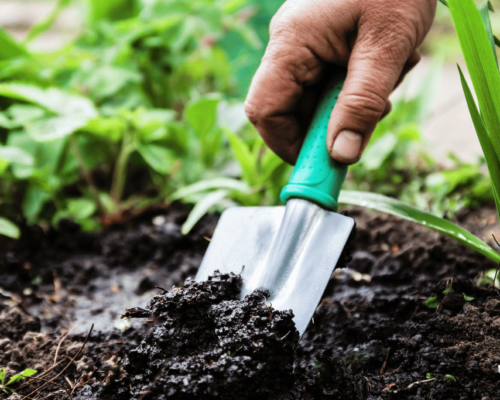 best garden trowel