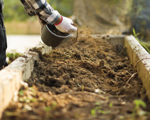 best bagged compost for vegetable garden