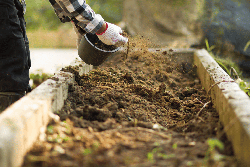 best bagged compost for vegetable garden