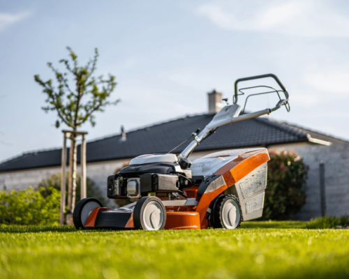 best electric lawn mower for bermuda grass