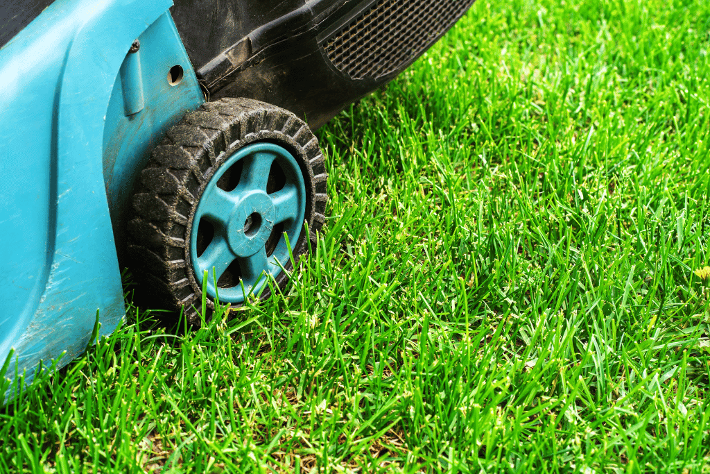 best lawn mower for bermuda grass