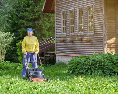 best lawn mower for older lady