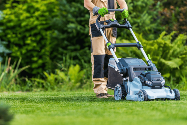 best lawn mower for st augustine grass