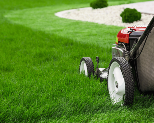 best lawn mower for zoysia