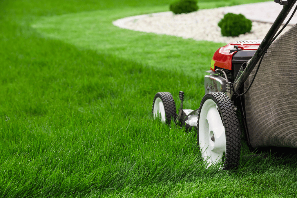 best lawn mower for zoysia