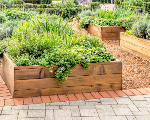 best raised garden beds for arizona