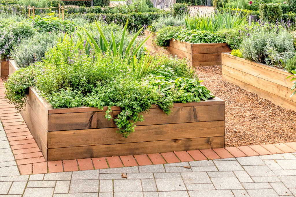 best raised garden beds for arizona