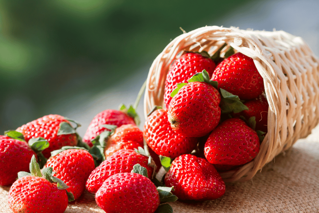 Red Strawberries