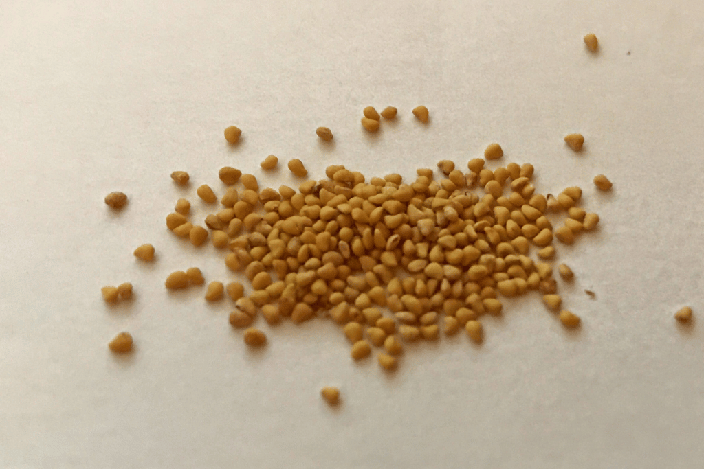 Strawberry Seeds