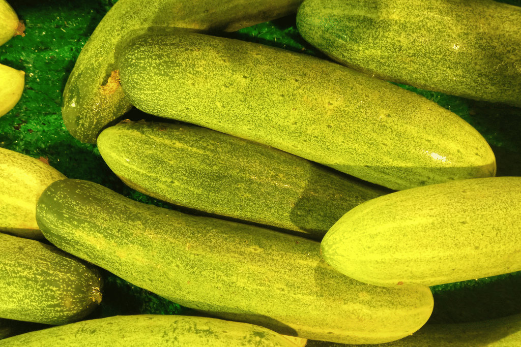 Are Yellow Cucumbers Safe to Eat