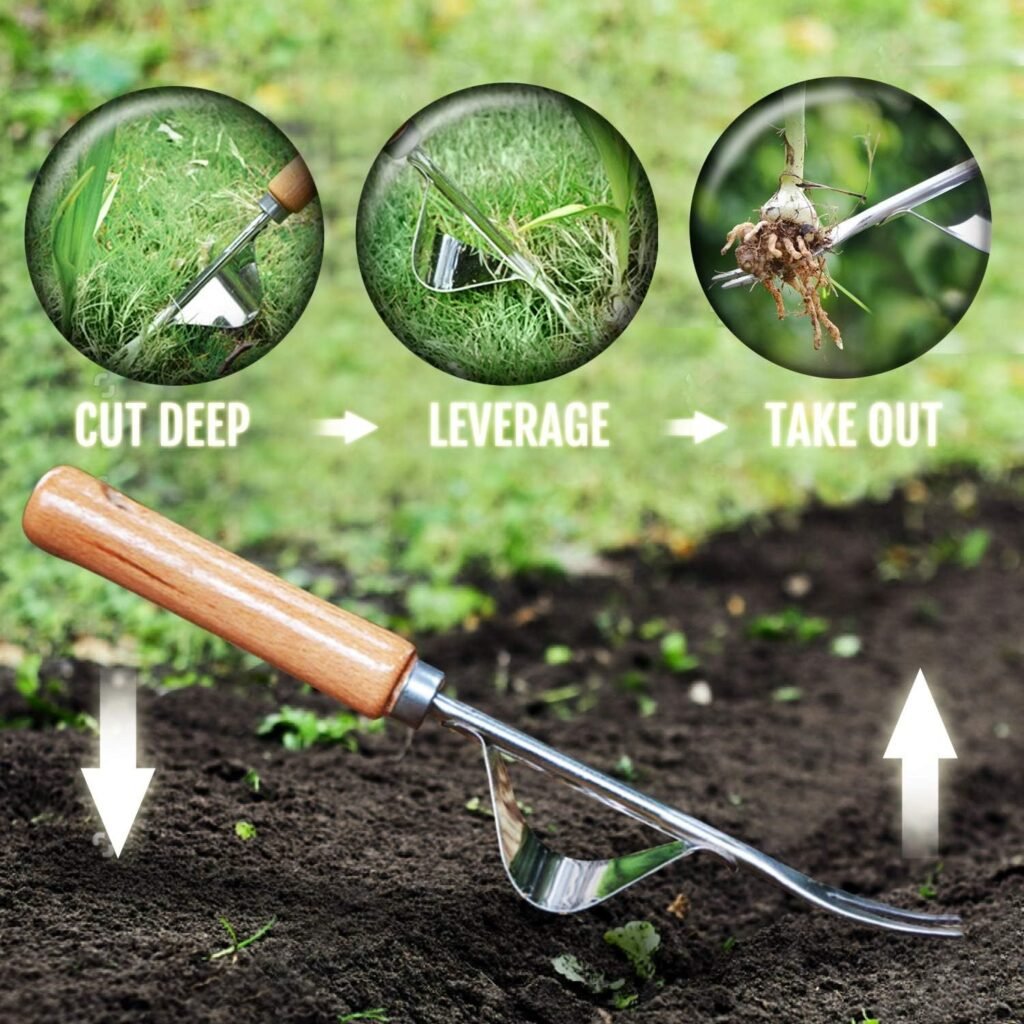 Beetus Manual Hand Weeder