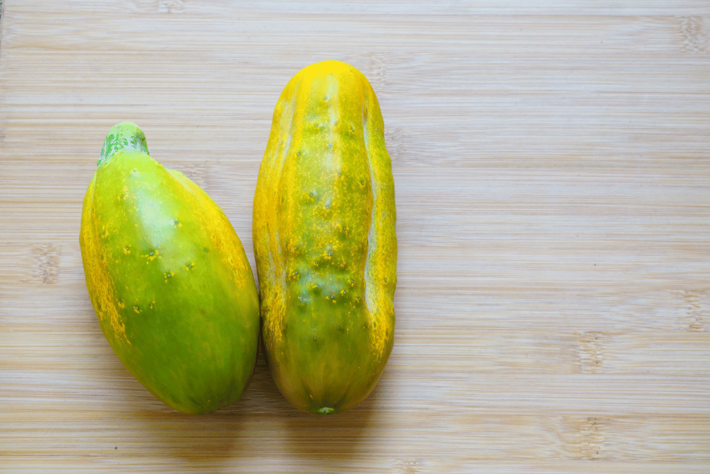 Cucumbers to Turn Yellow