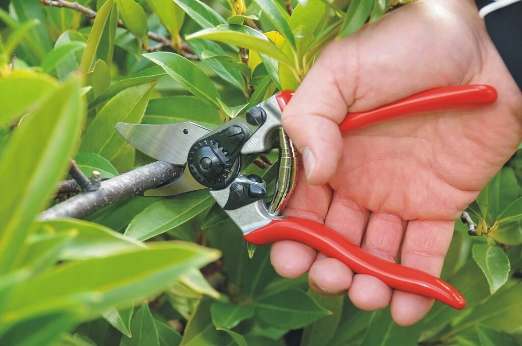 Felco Pruning Shears