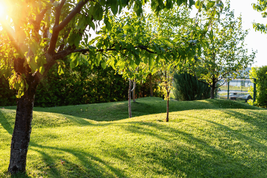 Hills for Mowing