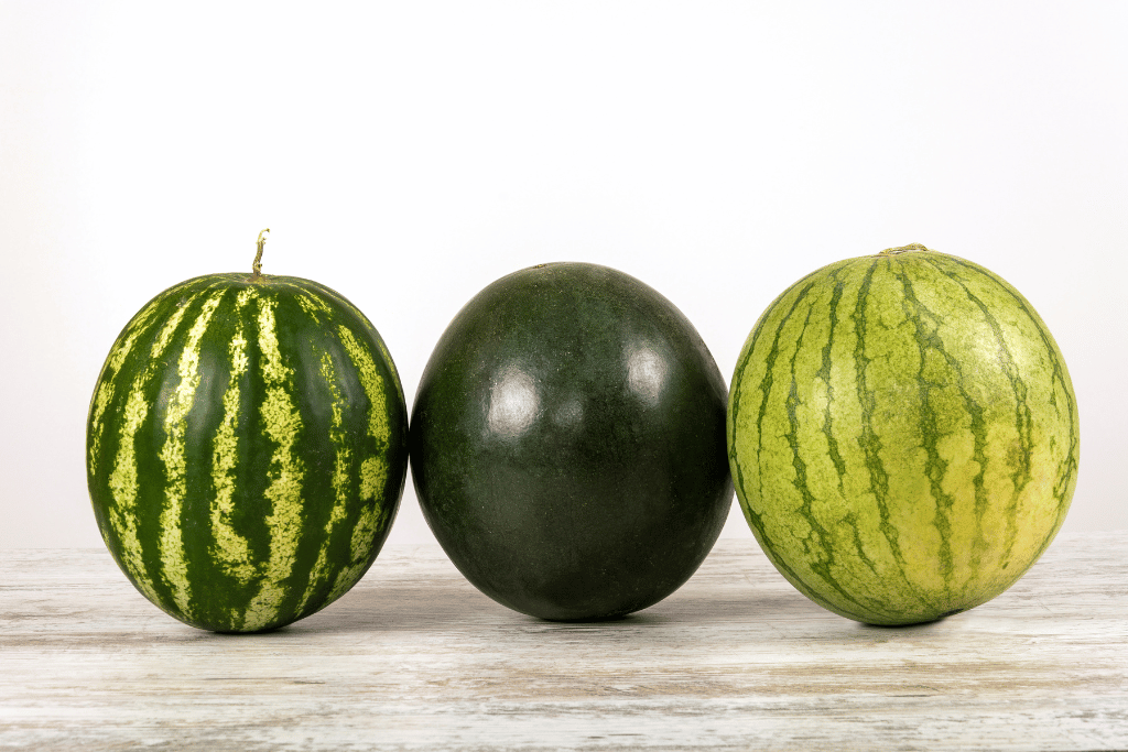 Types of Watermelon Varieties