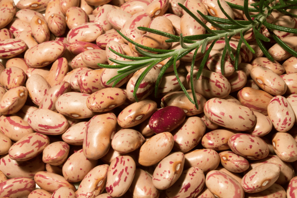 Beans Rosemary 