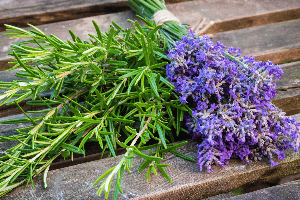 Lavender Rosemary