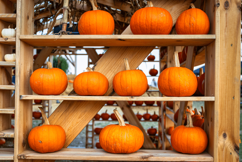 Pumpkin Storage