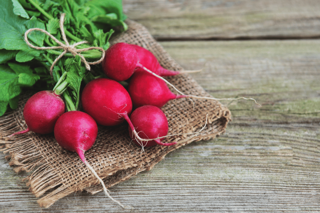 Radishes