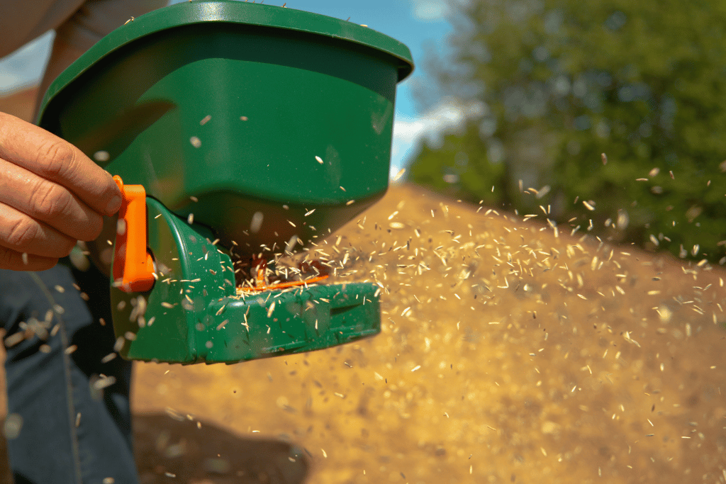 Seed Distribution