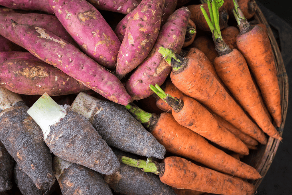 Sweet potato and Carrots