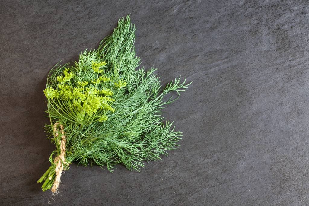 Sweet potato and Dill 