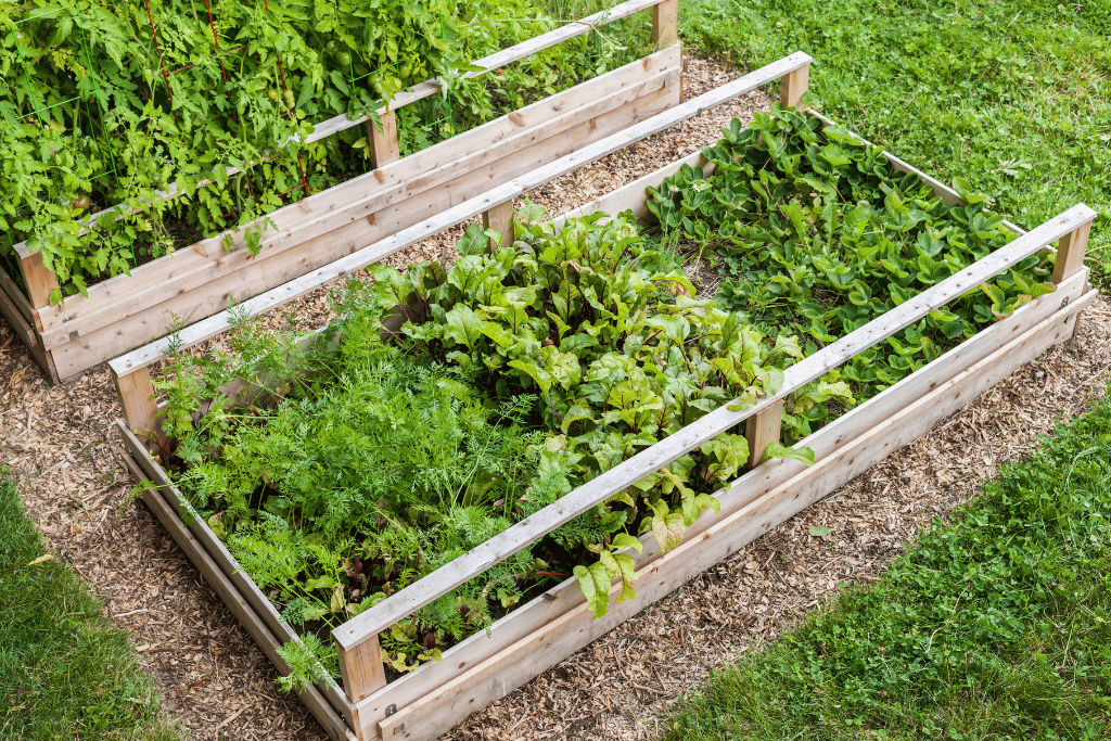 When Choosing Wood For Raised Garden Bed