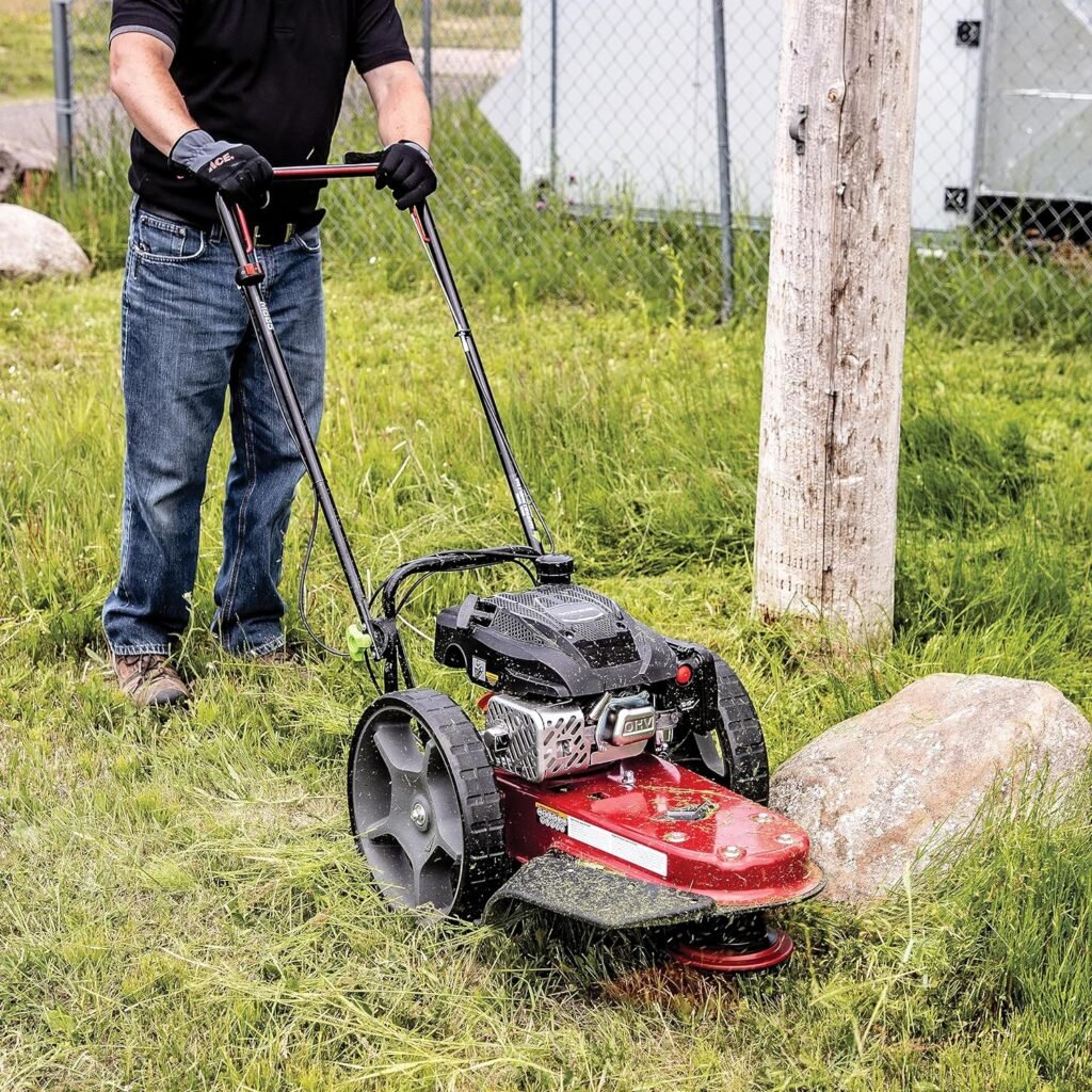 Earthquake Walk Behind String Mower