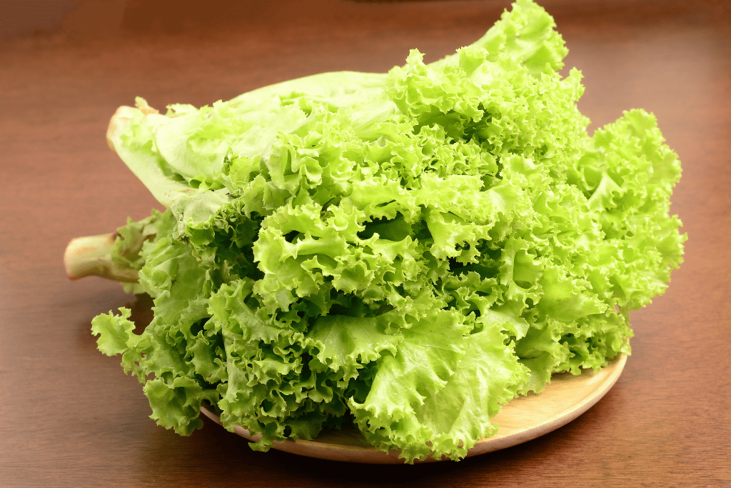 Lettuce