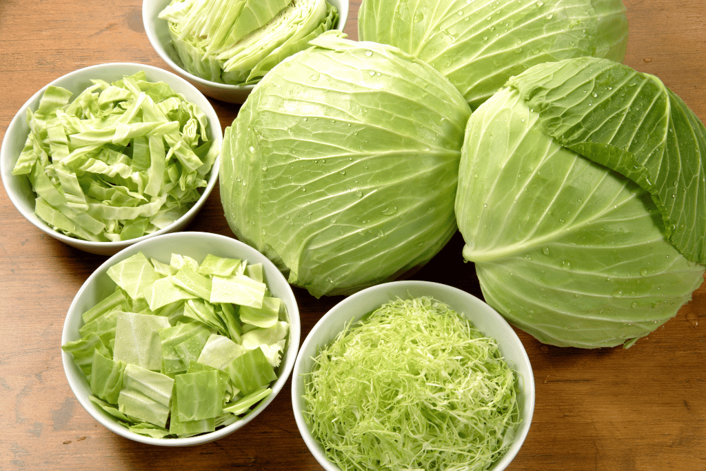 Spring Cabbage