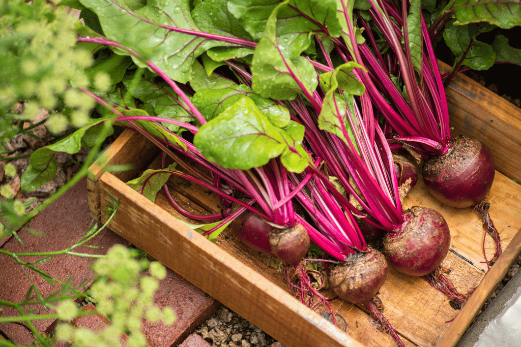 Beets