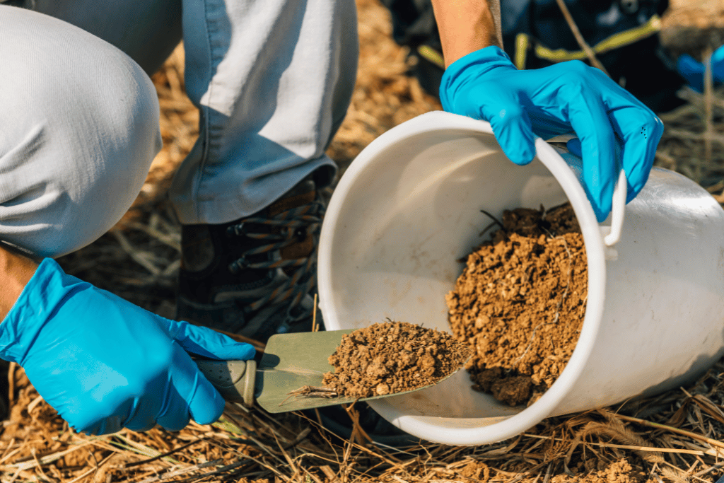 Grow Potatoes in a Bucket